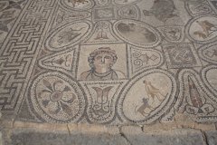 11-Beautifull preserved mosaic